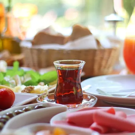 Lagina Çıralı
