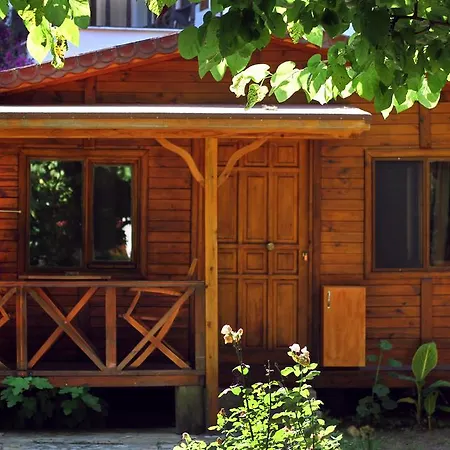 Lagina Çıralı